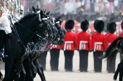 Watch the Changing of the Guard at the Palace