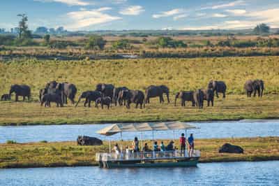 Chobe