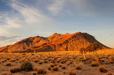 Kalahari