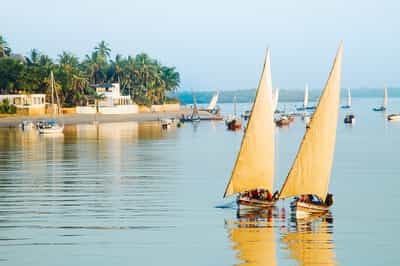 Lamu