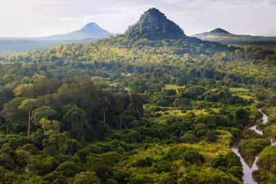 Gorongosa