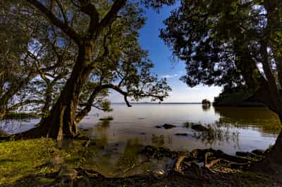 Bahir Dar