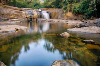 Dewalokam
