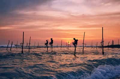 The South Coast