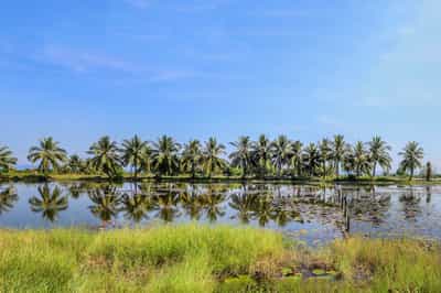 Koh Kong