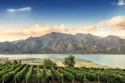 Mendoza