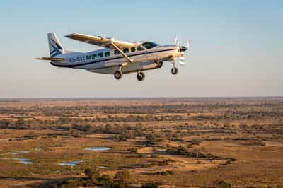 Maun