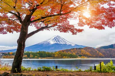 Hakone & Mount Fuji