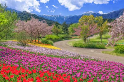 Nagano Prefecture