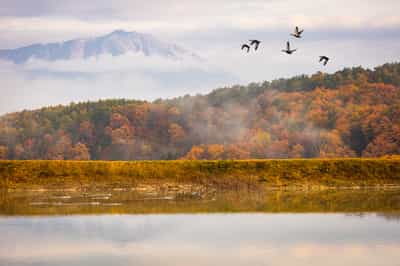 Shiretoko Peninsula