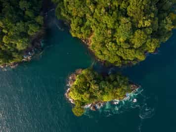 Pacific Coast of Colombia