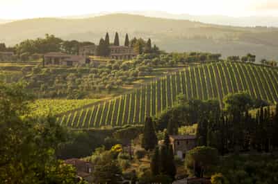 Chianti & Central Tuscany
