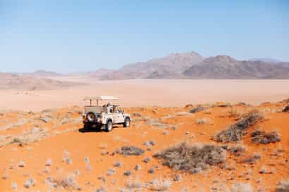 Desert exploring