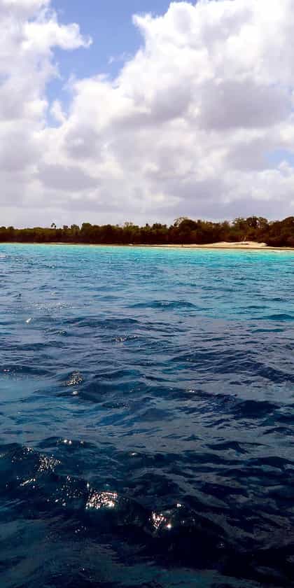 Gecko Nature Lodge, Pemba Island | Timbuktu Travel