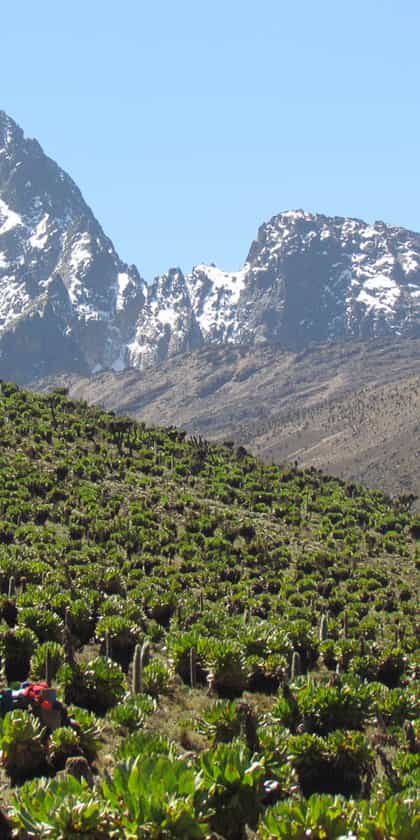 Mount Kenya Climb, Mount Kenya | Timbuktu Travel