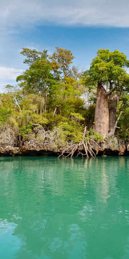 Anjajavy Reserve