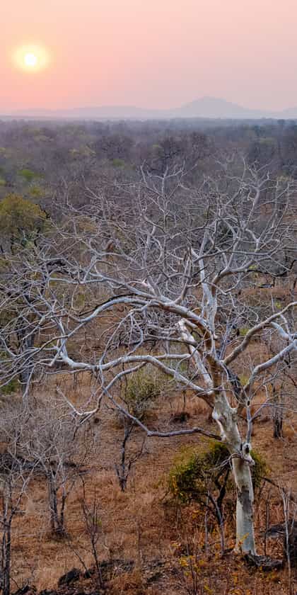 Thawela Tented camp, Majete Reserve | Timbuktu Travel