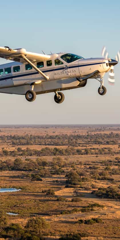 Maun