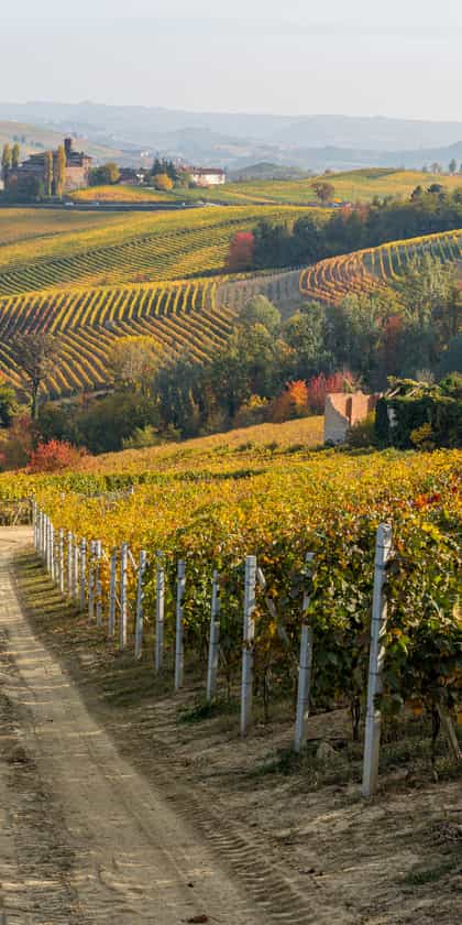 Langhe and Monferrato wine hills