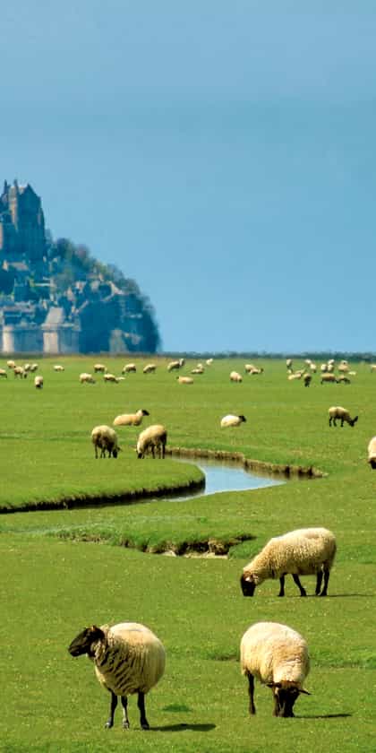 Normandy