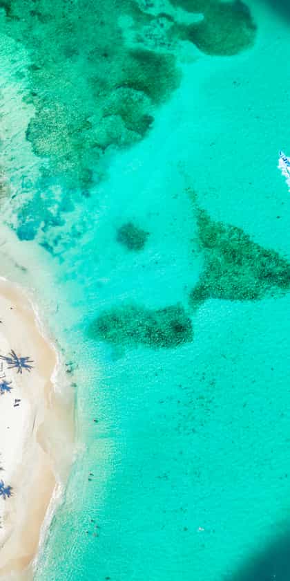 Caribbean