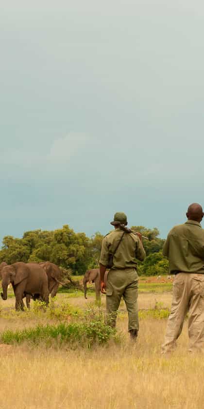 Upper Zambezi