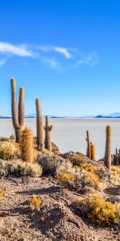 Bolivia