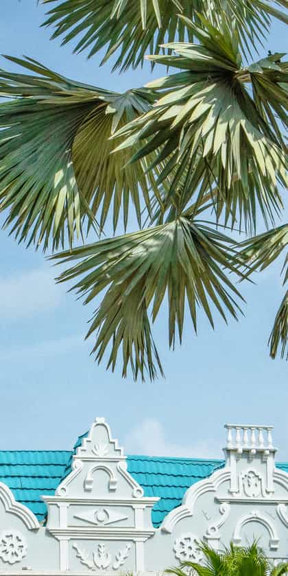 Aruba