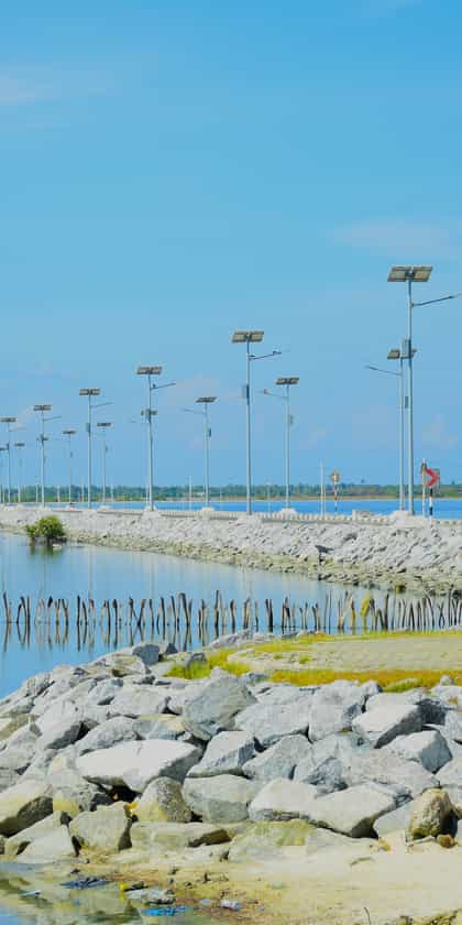 Mannar