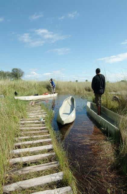 Mboma Island Camp, Moremi | Timbuktu Travel