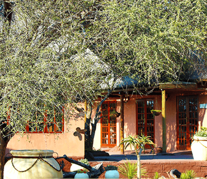 Kalahari Rest, Central Kalahari | Timbuktu Travel