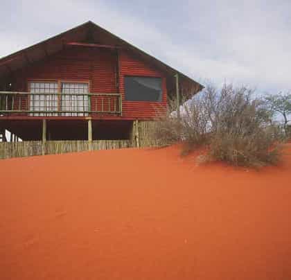 Test Point Master Tours, Central Kalahari | Timbuktu Travel