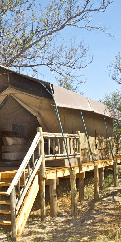Third Bridge Camp, Moremi | Timbuktu Travel