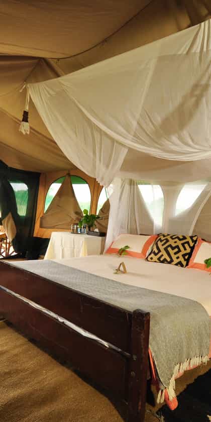 Sanctuary Masai Mara Seasonal Camp, Masai Mara | Timbuktu Travel