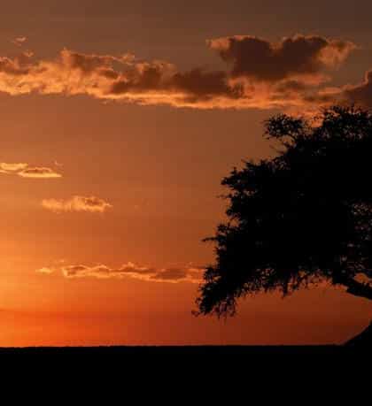 Fairmont Mara Safari Club, Masai Mara | Timbuktu Travel