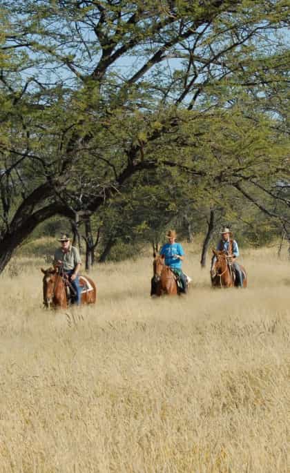 Gross Okandjou, Erongo | Timbuktu Travel