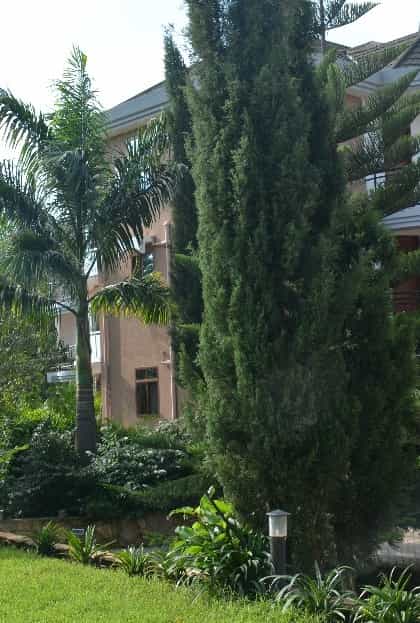 Nejobugg Palace Hotel, Arusha | Timbuktu Travel