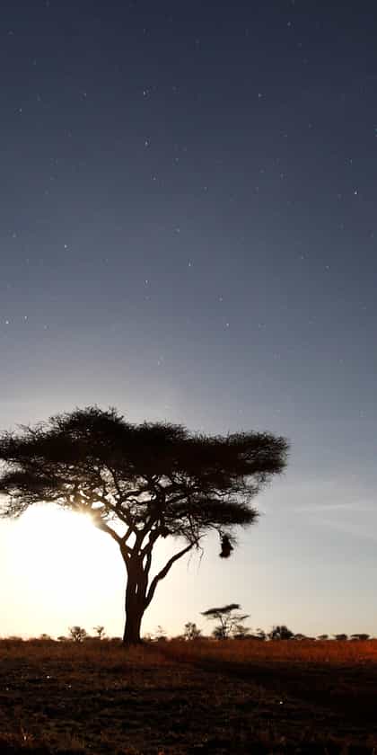 Pumzika Luxury Safari Camp by Sura Afrika, Serengeti | Timbuktu Travel