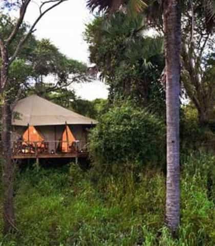 Palahala Camp, Katavi | Timbuktu Travel