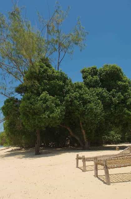Chapwani Private Island, Zanzibar | Timbuktu Travel