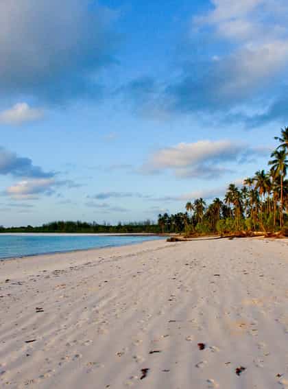 Michamvi Sunset Bay, Zanzibar | Timbuktu Travel