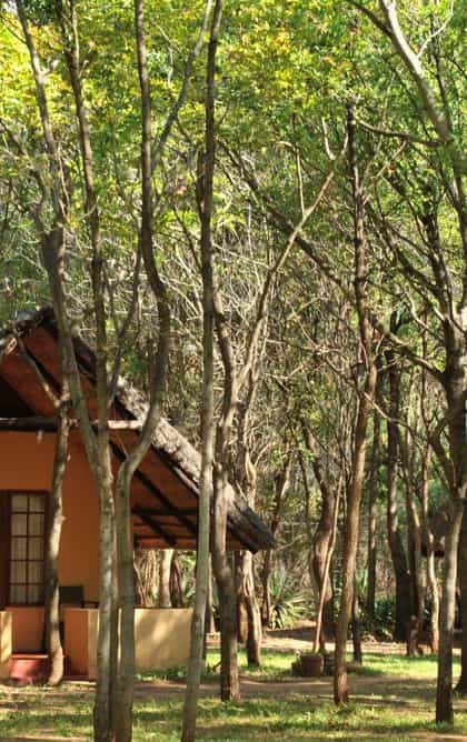 Bushfront Lodge, Victoria Falls | Timbuktu Travel