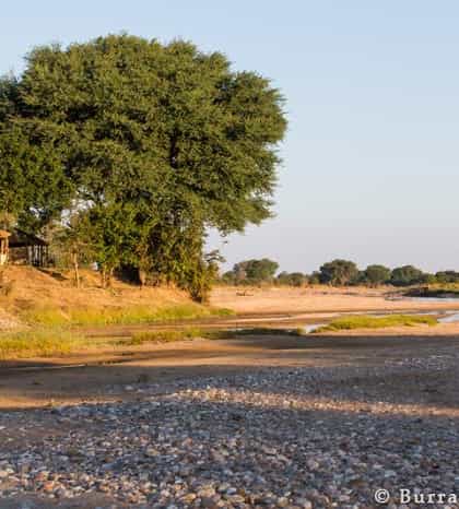 Una's Camp, North Luangwa | Timbuktu Travel