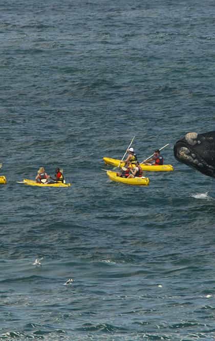 Zoete Inval Traveller's Lodge, Hermanus | Timbuktu Travel