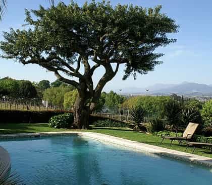 De Wingerd Wijnland Lodge, Stellenbosch | Timbuktu Travel