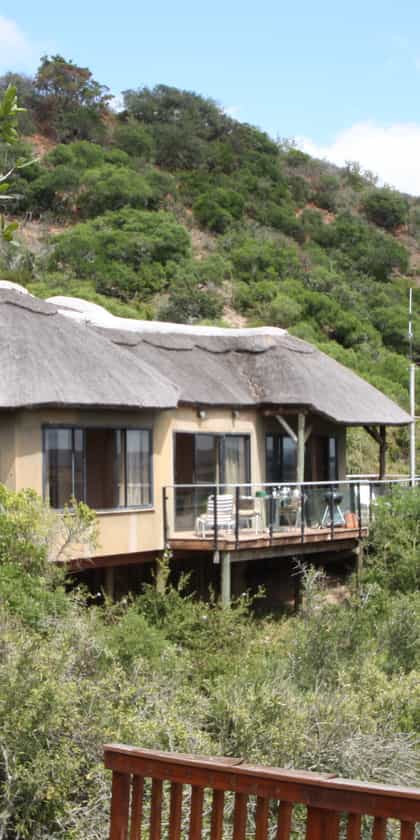 Bou Bou Lodge, Eastern Cape | Timbuktu Travel