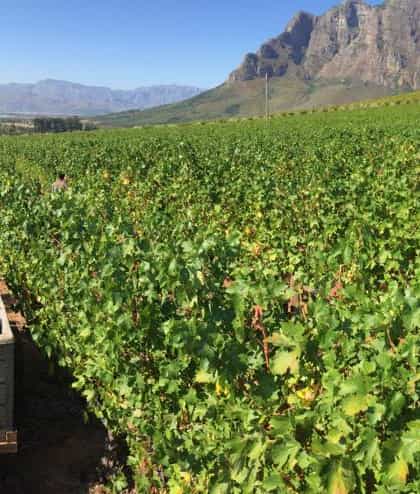 Rainbows End, Stellenbosch | Timbuktu Travel