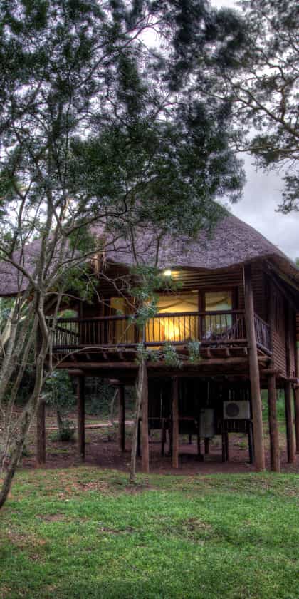Zululand Tree Lodge, Zululand & The Elephant Coast | Timbuktu Travel