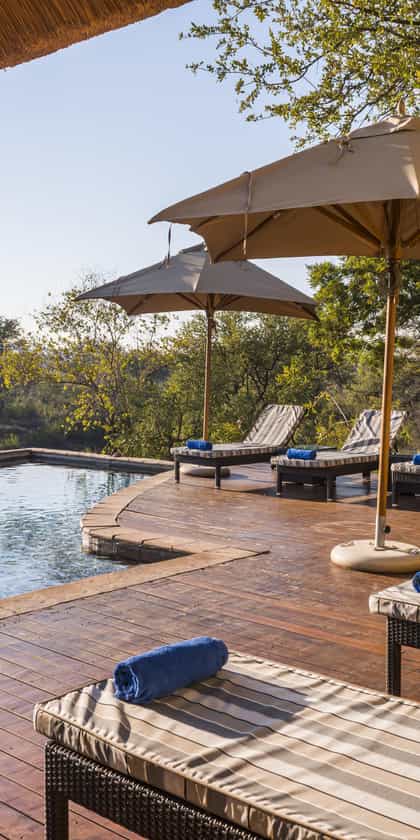 Thakadu River Camp, Madikwe | Timbuktu Travel