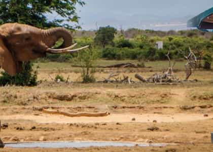 Sentrim Tsavo East, Tsavo | Timbuktu Travel